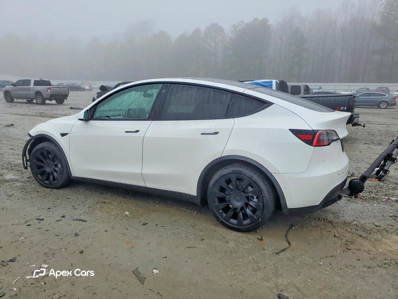 Tesla Model Y 2021