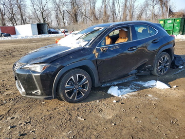 Lexus UX 2021 - Zdjęcie 1 z 12