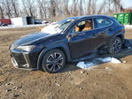 Lexus UX 2021