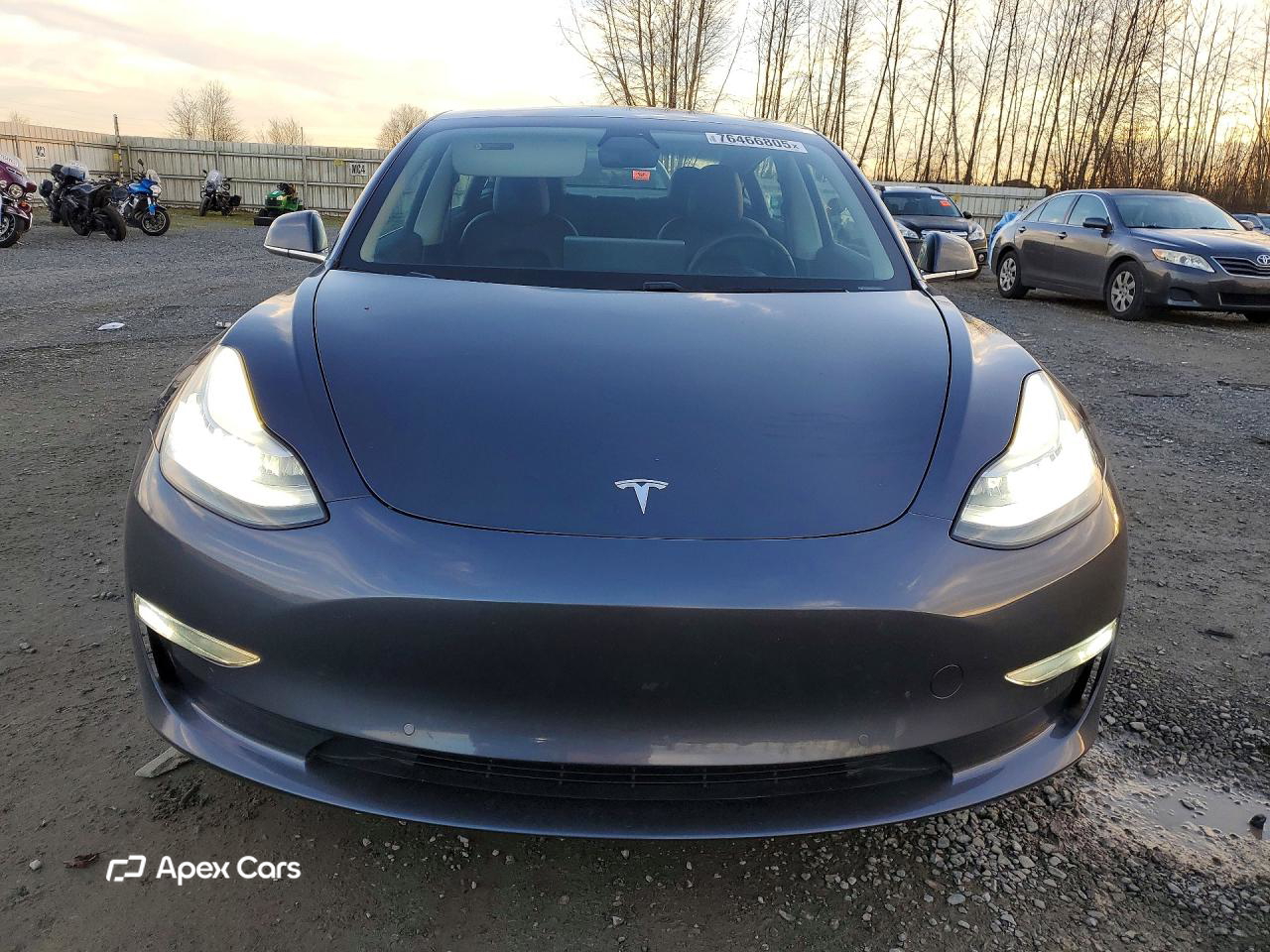 Tesla Model 3 2019