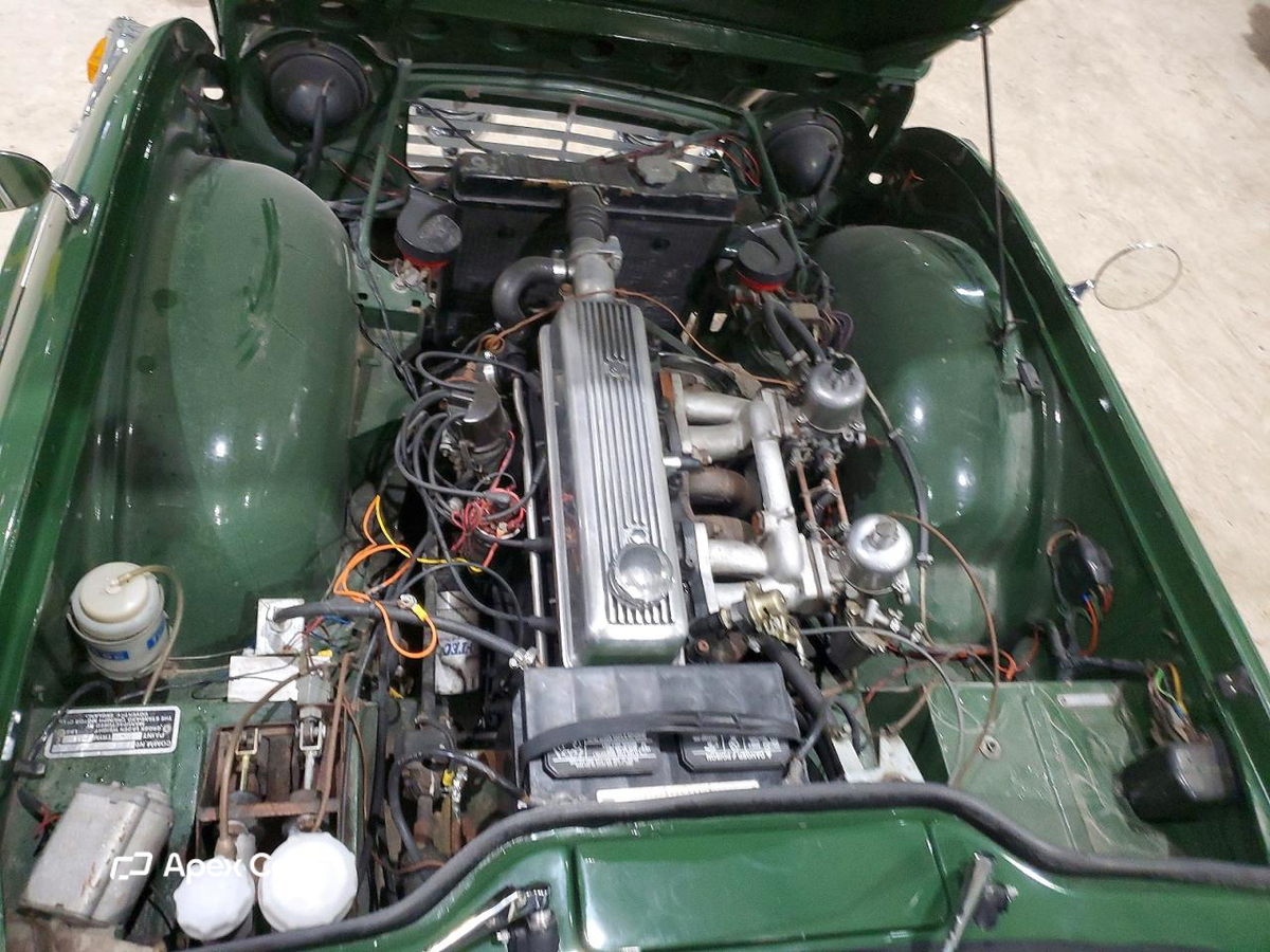 1966