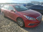Hyundai Sonata 2017