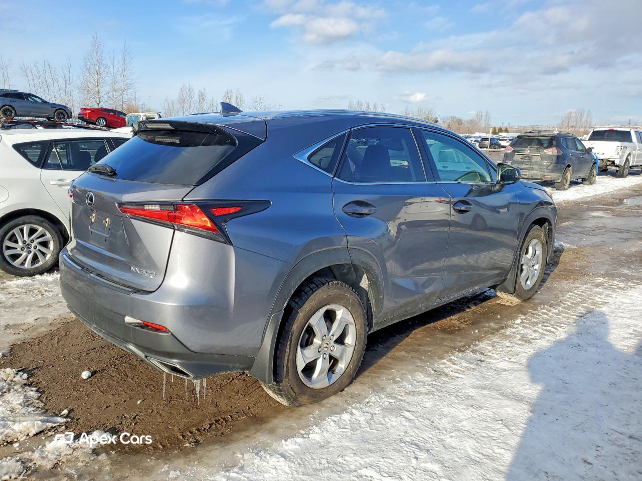 Lexus NX 2021