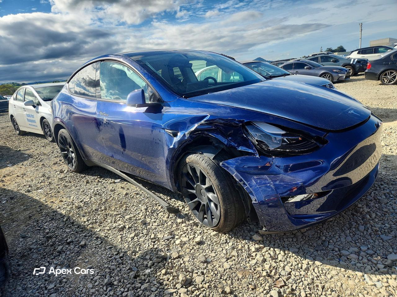 Tesla Model Y 2024