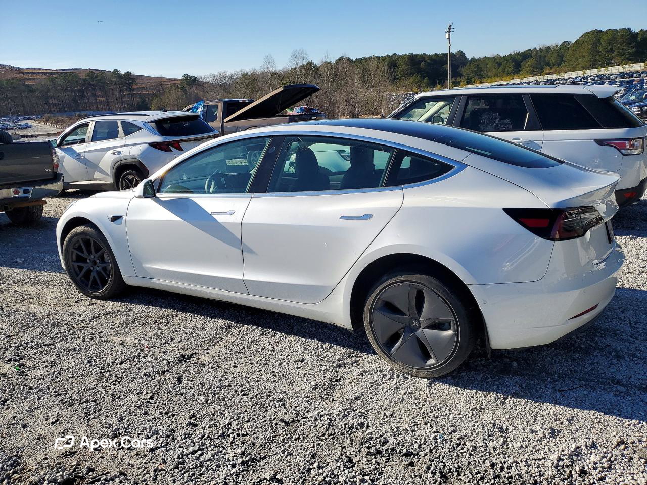 Tesla Model 3 2019