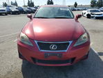 Lexus IS 2011