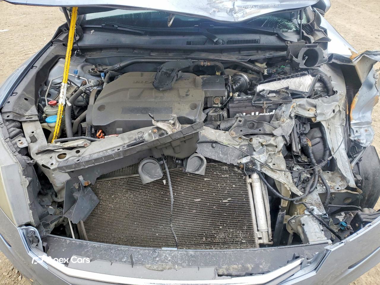 Honda Accord 2010