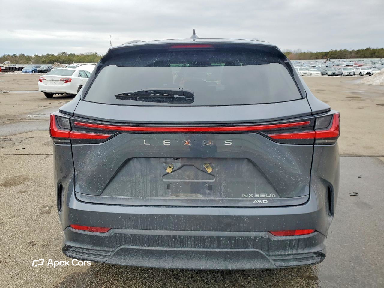Lexus NX 2024