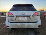 Lexus RX 2010