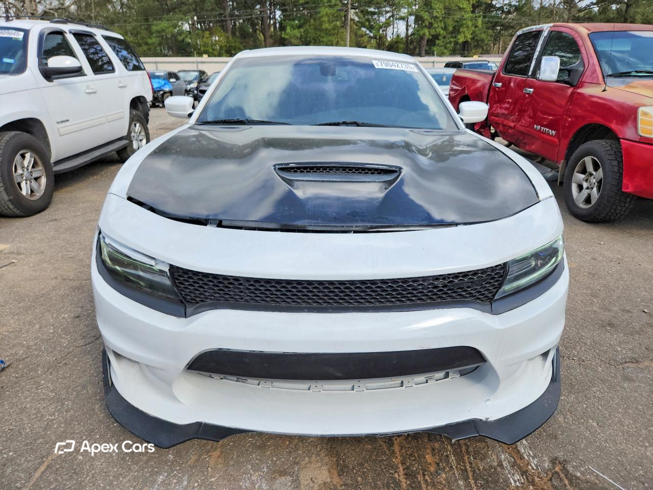 Dodge Charger 2019