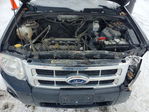 Ford Escape 2012