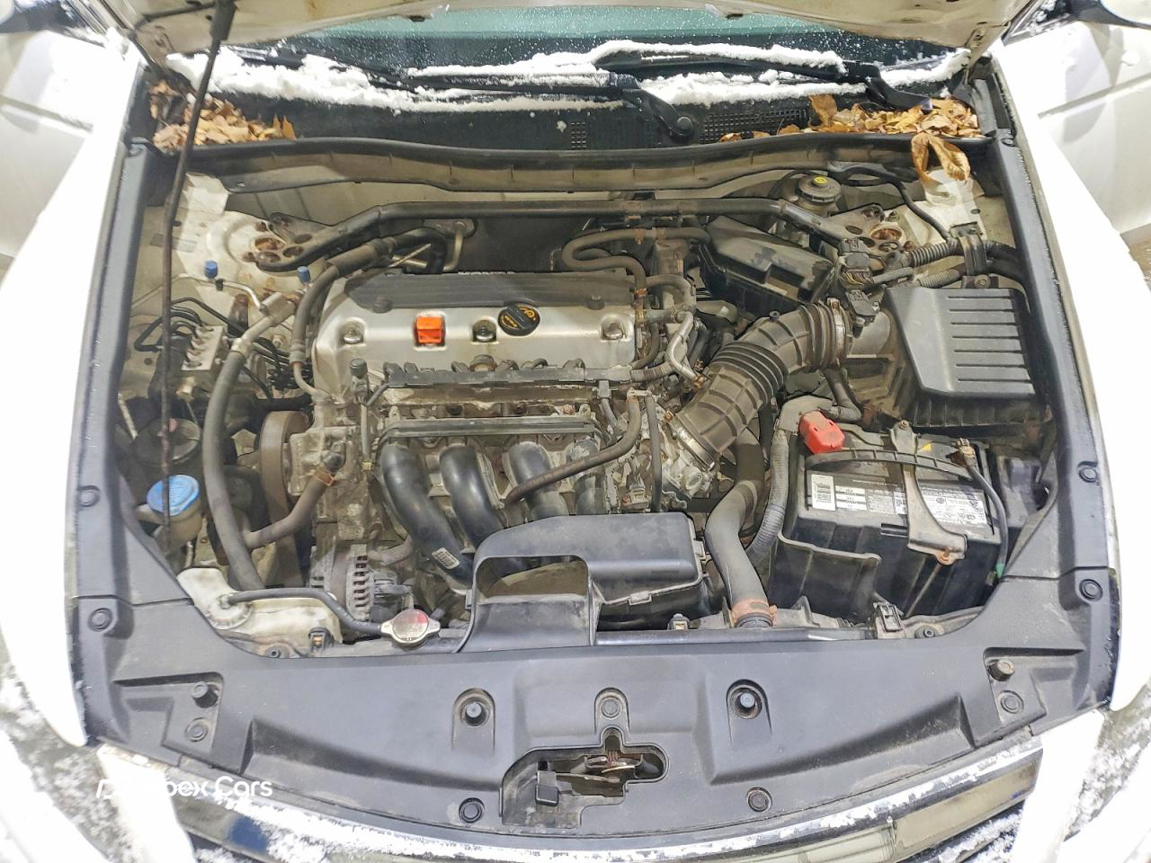 Honda Accord 2011