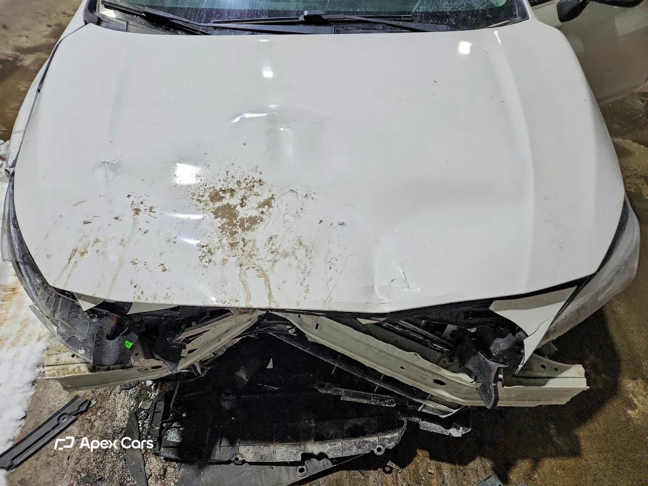 Subaru Impreza 2019