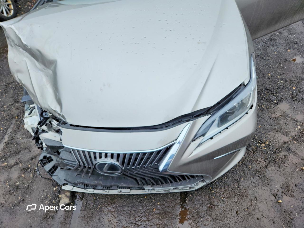 Lexus ES 2019