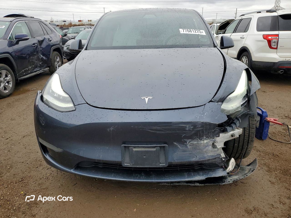 Tesla Model Y 2020