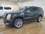 Cadillac Escalade 2008