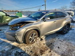 Lexus NX 2019