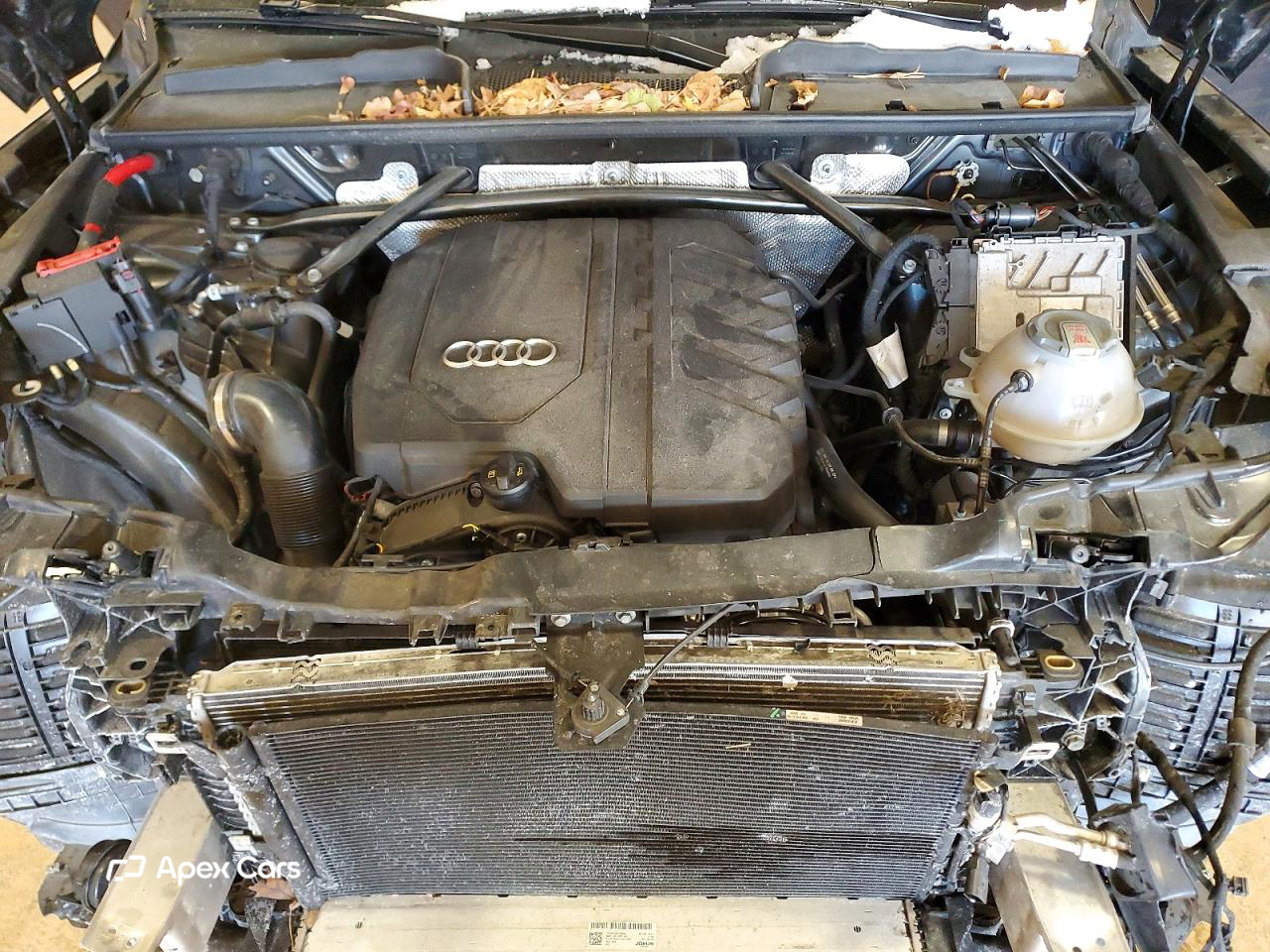 Audi Q5 2021