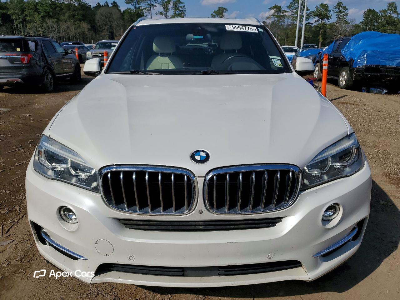 BMW X5 2017