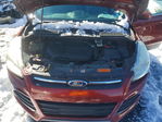 Ford Escape 2015