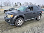 Ford Escape 2011
