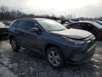 Toyota RAV 4 2023