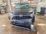 Toyota RAV 4 2024