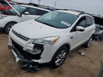 Ford Escape 2013