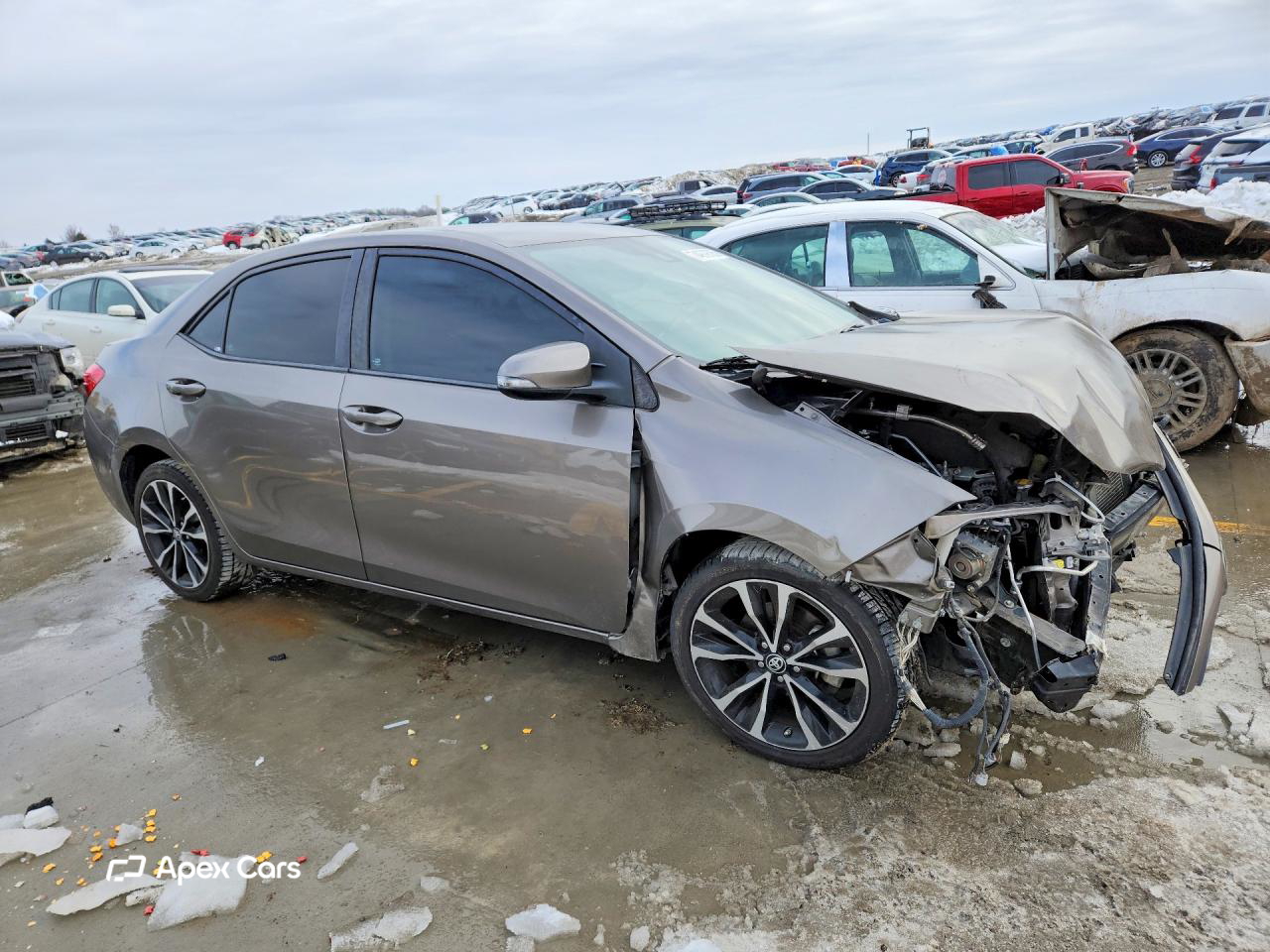 Toyota Corolla 2017