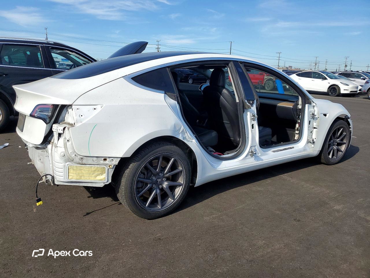 Tesla Model 3 2019