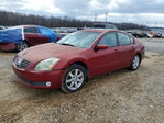 Nissan Maxima 2005