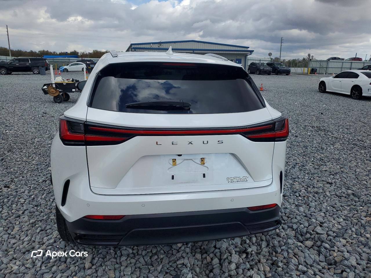 Lexus NX 2024