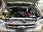 Ford Escape 2008