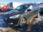 Ford Escape 2013