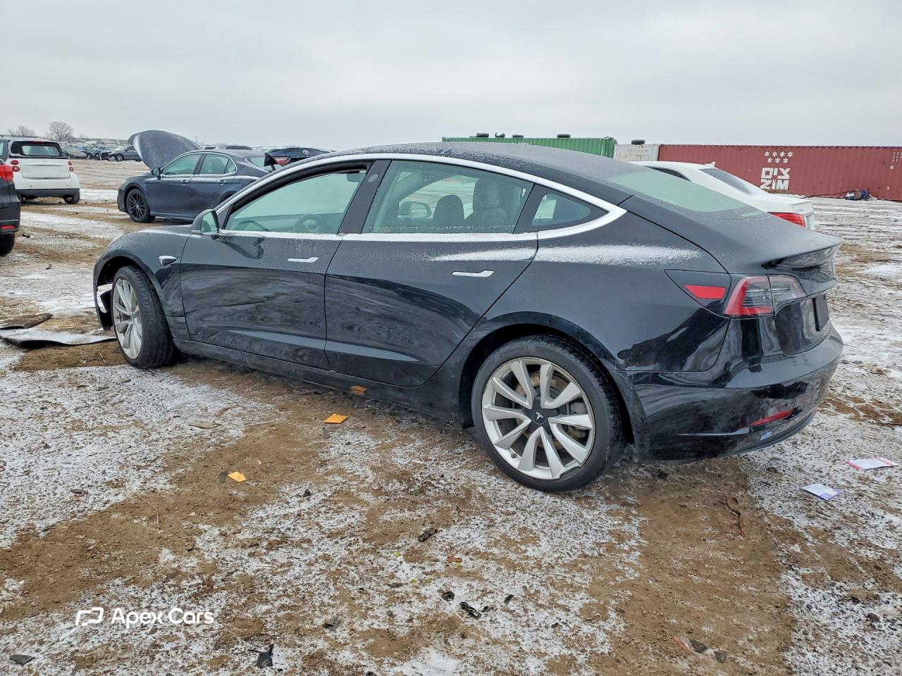 Tesla Model 3 2019