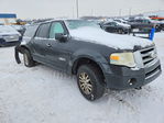 Ford Expedition 2007