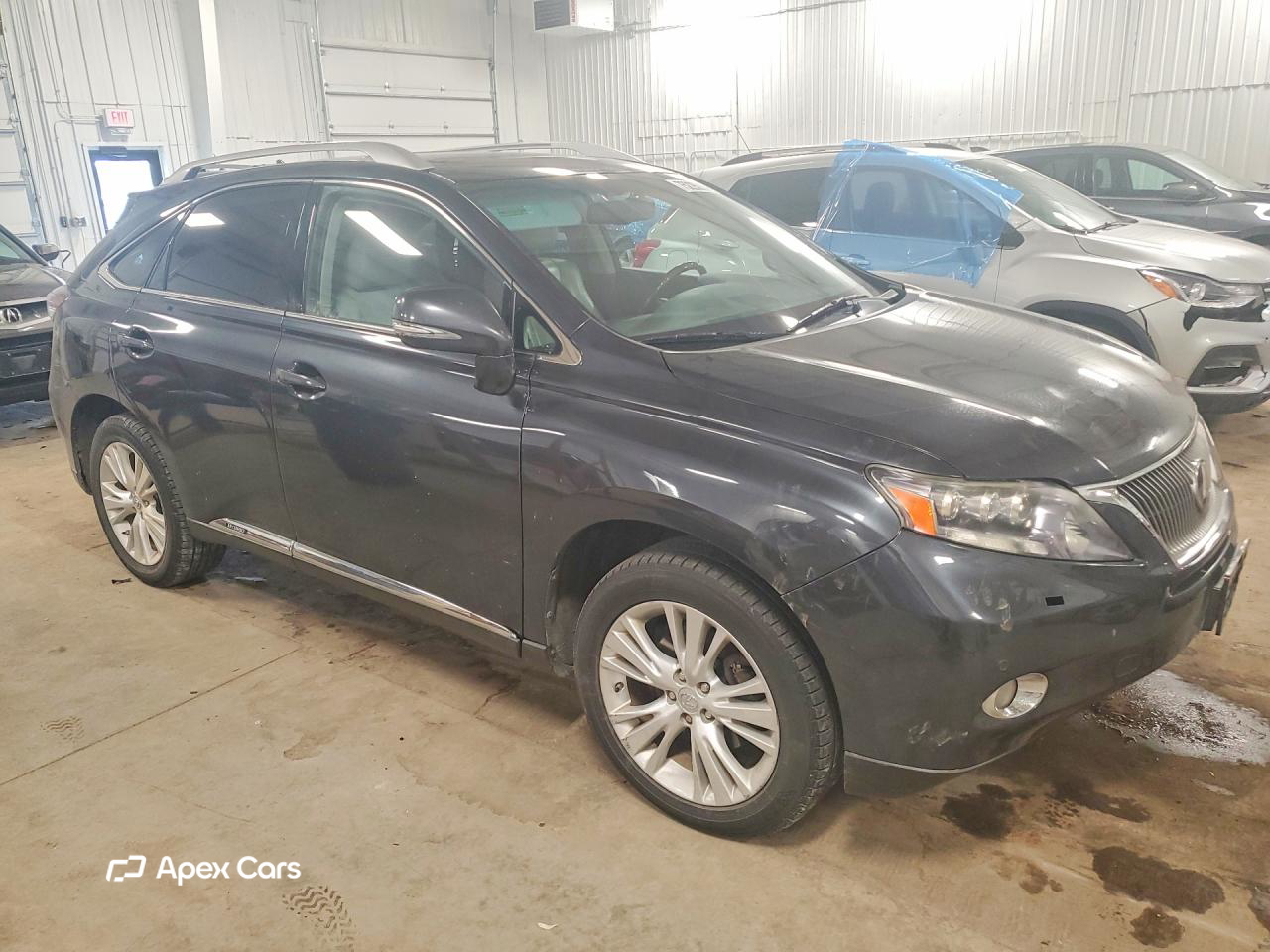 Lexus RX 2010