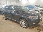 Lexus RX 2010
