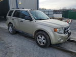Ford Escape 2012