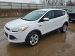 Ford Escape 2014