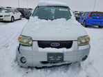 Ford Escape 2006
