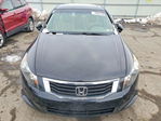Honda Accord 2010