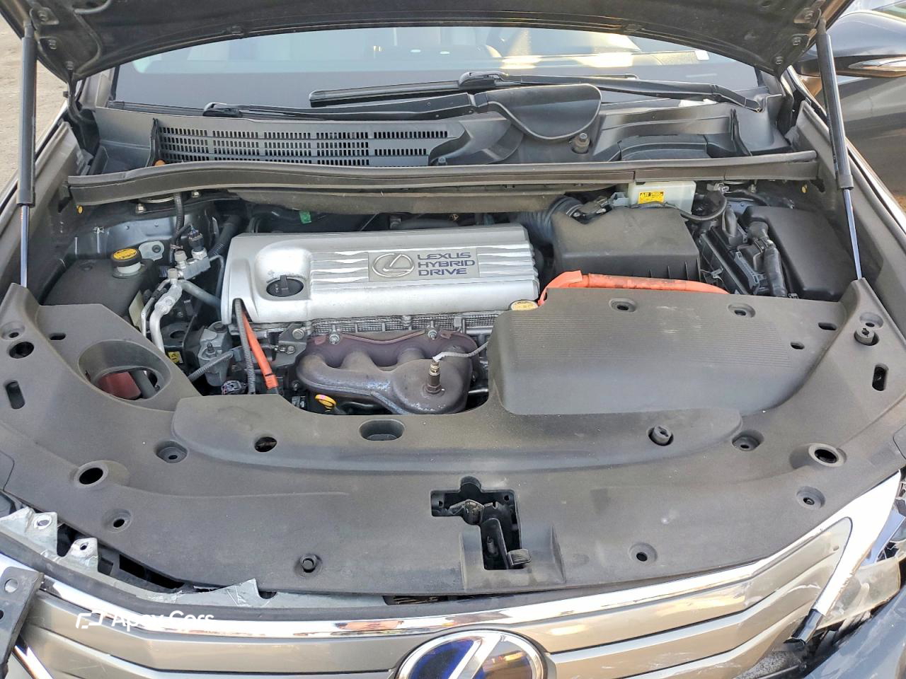 Lexus HS 2010