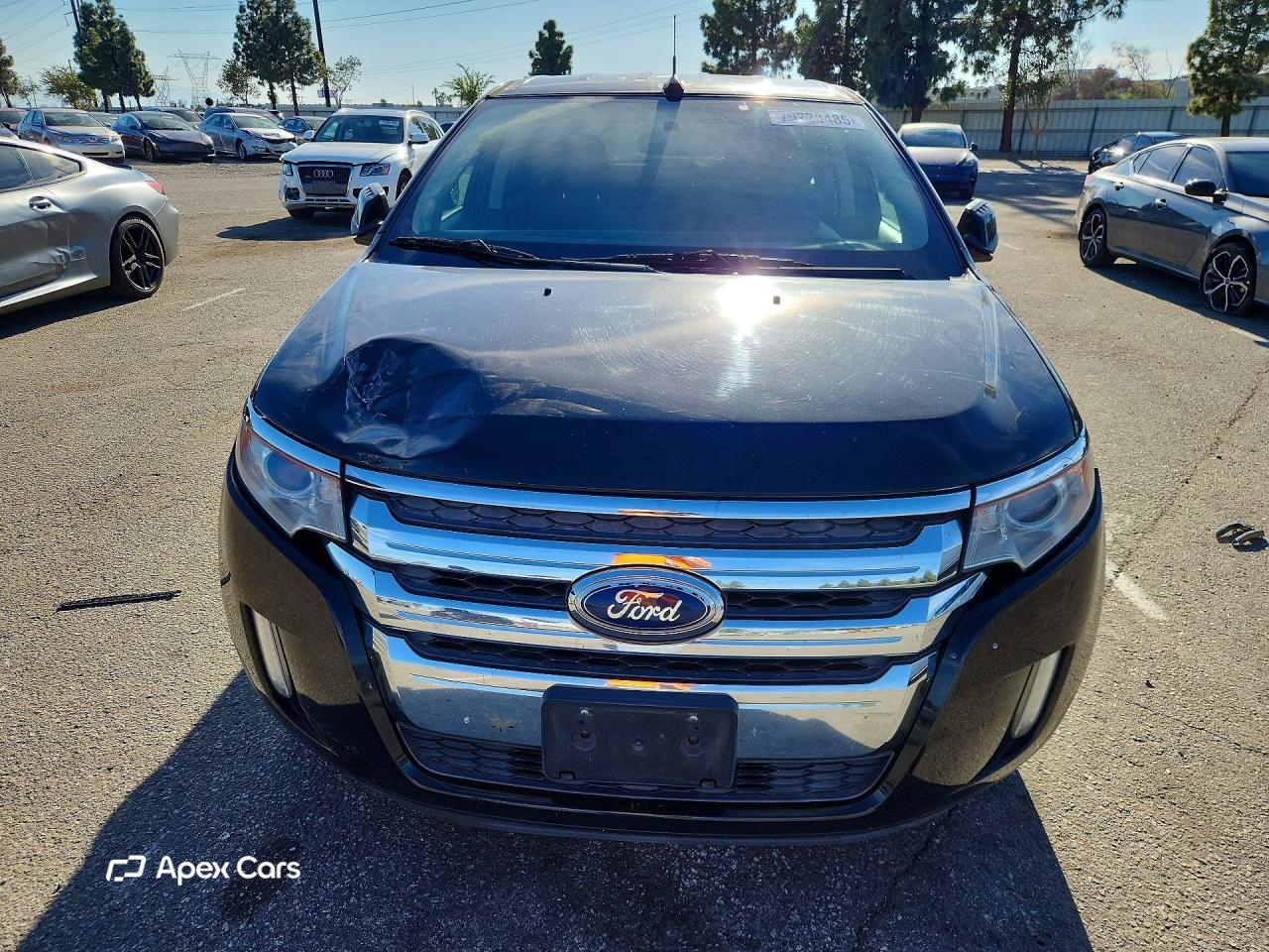 Ford Edge 2013