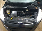 Ford Escape 2013