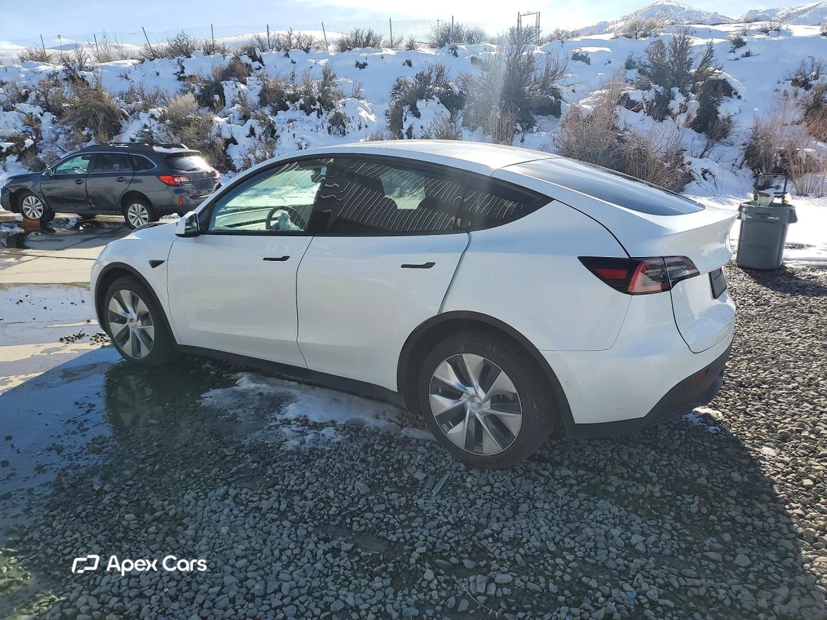 Tesla Model Y 2020