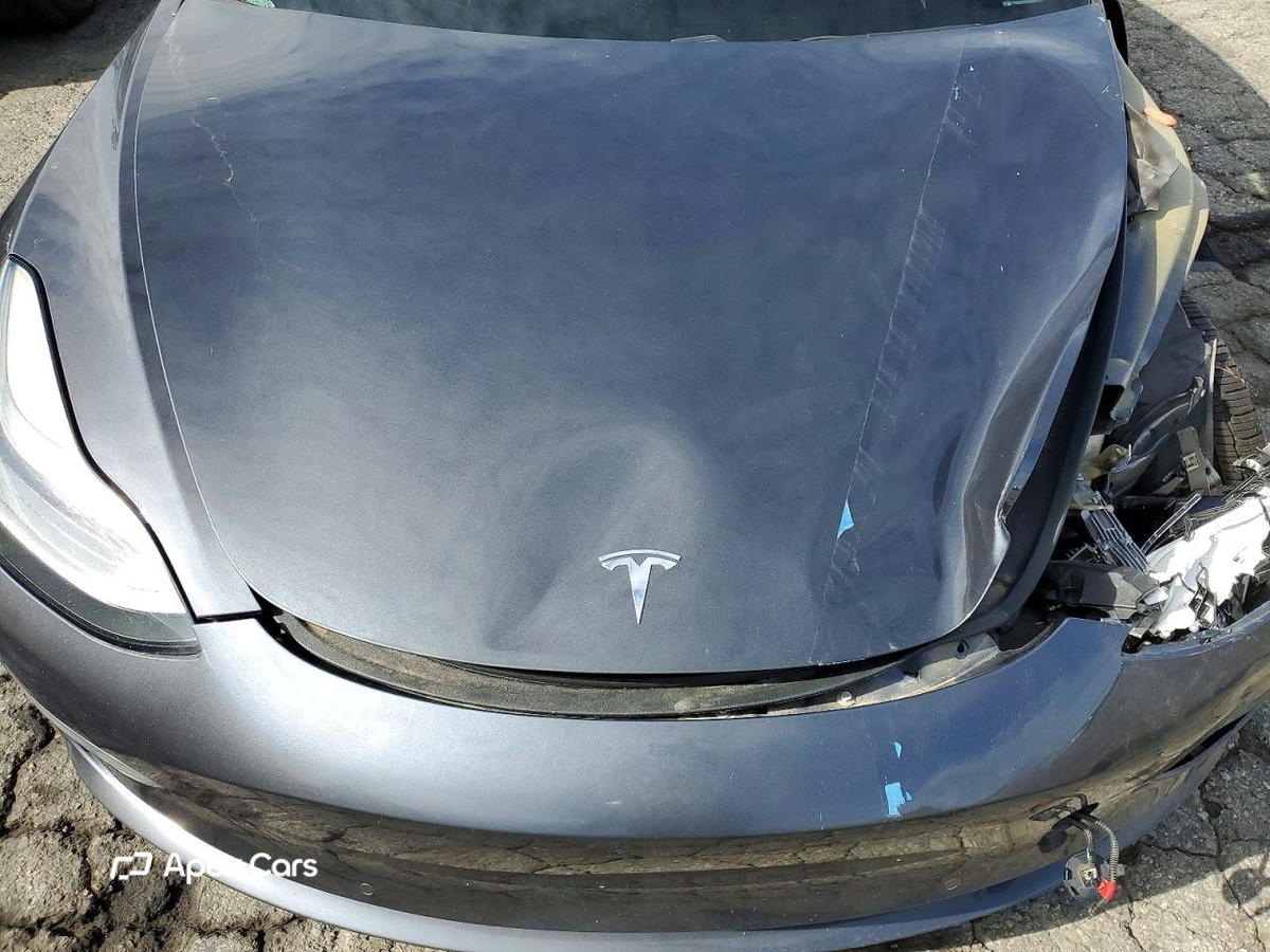 Tesla Model 3 2019