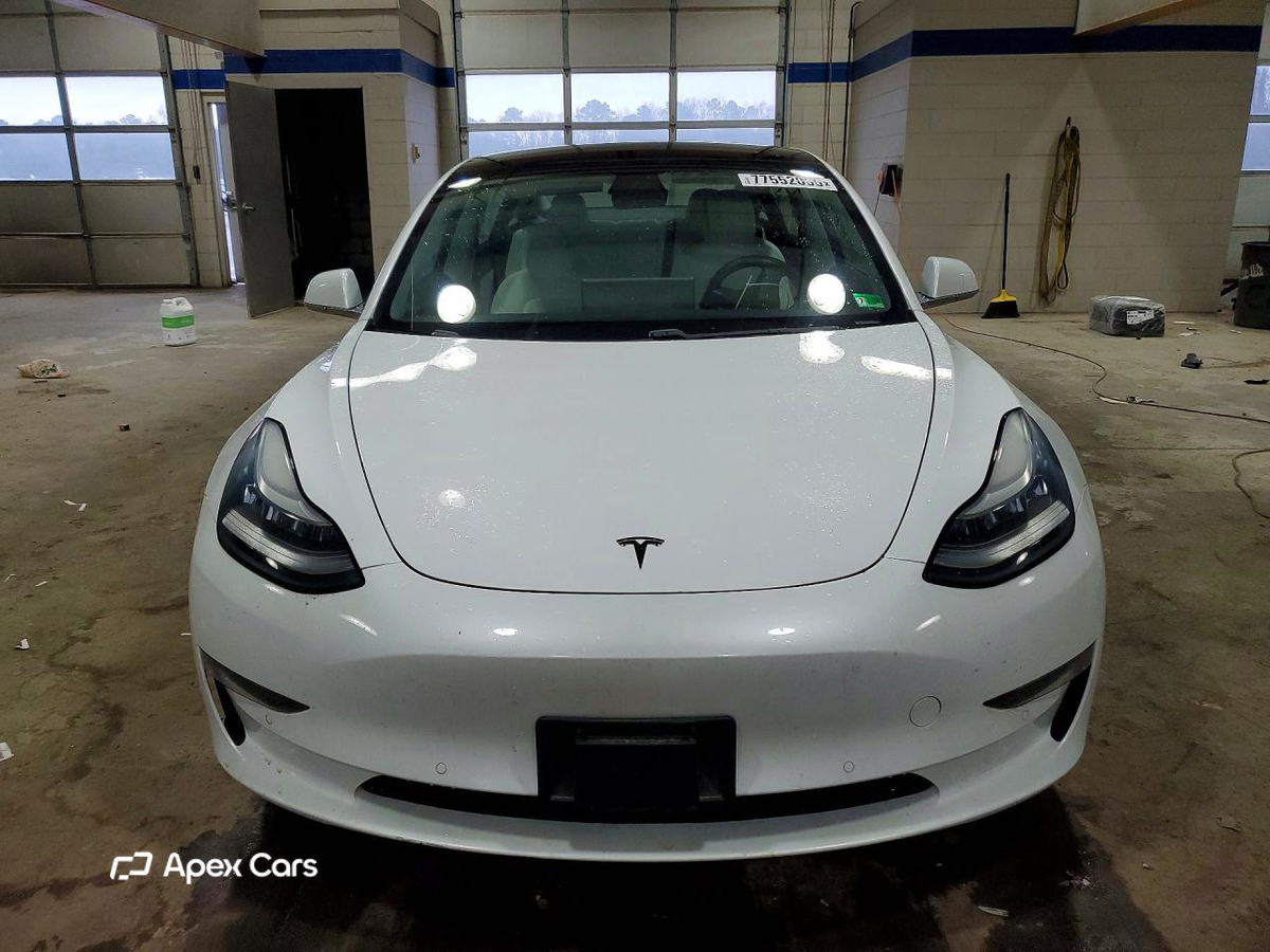 Tesla Model 3 2019