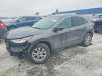 Ford Escape 2024