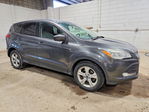 Ford Escape 2015
